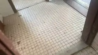 Prospect Park Restrooms