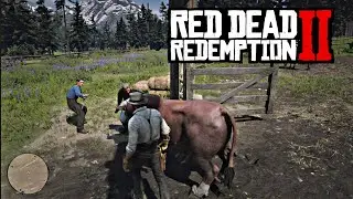RDR2 | A Simple Pleasure &ndash; John Marston Tries a Normal Life