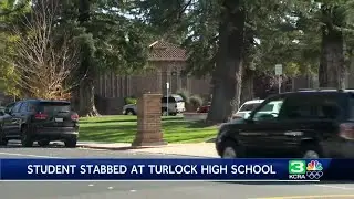 Turlock High School student stabbed on campus, another student in custody, officials say