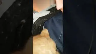 Cats sleep in strange places