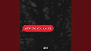 why did you do it?