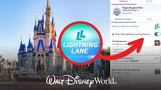 MULTIPASS, SINGLE PASS, LIGHTNING LANE : TOUT SAVOIR SUR LE COUPE FILE DE WALT DISNEY WORLD !