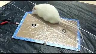 Capacitive Pad for Rat detection#2