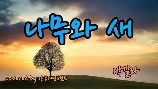 아름다운 가수 박길라 '나무와 새' covered by 양하영밴드