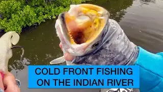 COLD FRONT FISHING ON THE INDIAN RIVER LAGOON ADVENTURE 21