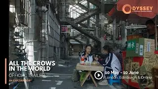 Odyssey: a Chinese cinema season | All the Crows in the World | Official Trailer