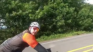 The Ochart Report - Mile 137