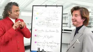 Dann&eacute; Talks About The DMK Enbioment System