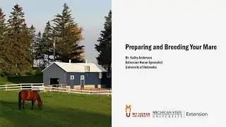 Preparing and Breeding Your Mare