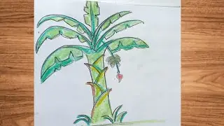 How to draw a banana tree very easy step by step. 