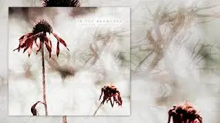 In The Branches - Hidden Elements (Full Album)