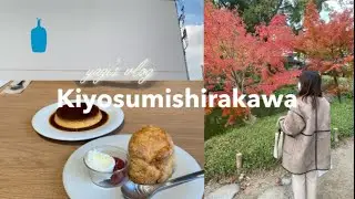 〔VLOG〕休日の過ごし方 / 清澄白河散歩🍂☕️ / カフェ / 雑貨屋さん巡り