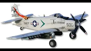 A 1 Skyraider 800mm Derbee &agrave; Massilly le 28 janvier 2024