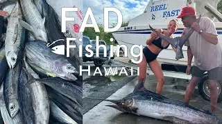 FAD fishing Hawaii// deep sea shibi, aku, & a'u (marlin)
