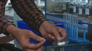 CHEMISTRY | II PUC | LABORATORY | SALT ANALYSIS - MAGNEAIUM SULPHATE | EXP 11