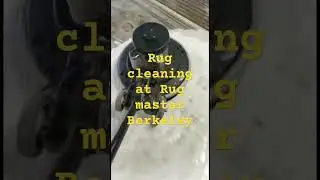 Rug washing process, #rug #rugcleaningservice #rugmaster #rugcleaning 5107040460 #cleaning #arearug