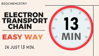 Electron transport chain | ETC | IN JUST 13 MIN. ONLY 🔥🔥| METABOLISM | BIOCHEMISTRY | IIT JAM NEET  