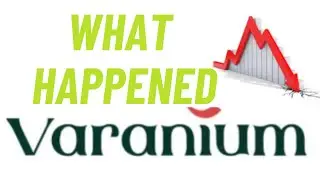 Why Varanium Cloud Share price fall?? II Classic Example of Corporate Cooking - 11/5/24