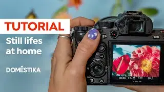 Photography Tutorial | 3 Tips for Shooting Still Life Photos at Home - Victoria Jane | Domestika