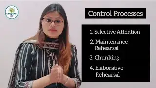 #ControlProcessesInMemory |Elaborative Rehearsals Maintenance Rehearsal Chunking Selective Attention