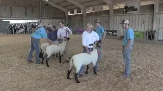 2015 Legislative Livestock Showdown - TN State Fair