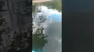 AEP Camping and kayak fishing 9-17-2021 #aeprecreationland #ohio  #aep #bass #largemouthbass