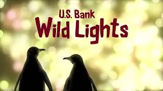 Saint Louis Zoo: Wild Lights / Too Much