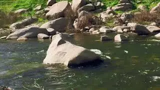 Nothing like running water to relax.
