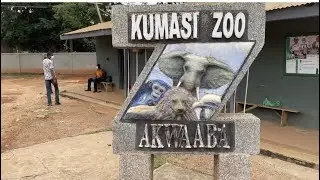 Welcome To Kumasi Zoo | Full Tour | Enjoy This Adventure 😁😁