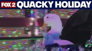 Rescue duck steals the show at Christmas Tree lighting in Metro Detroit