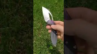 Kizer Megatherium