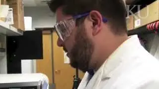 KU School of Engineering Hearing Recovery Research