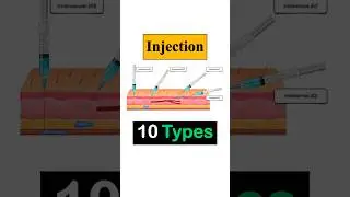 Injection 10 Types || Route of Injection || Injection Techniques #Nursing #dmlt #bmlt #medical