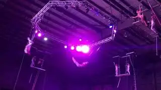Project X: The Flying Royals