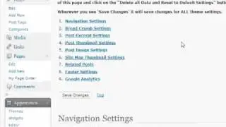 theme options panel