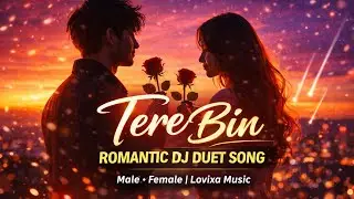 Tere Bin &ndash; Romantic DJ Duet Song | Male Female | Lovixa Music