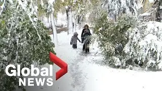 Manitoba premier declares state of emergency as snowy weather emerges