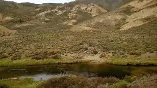 Tren patagonico en viaje1