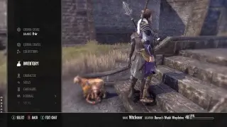 The Elder Scrolls Online ESO Live Stream!