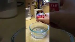 Ловушка для слизней своими руками