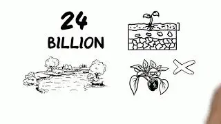 Soil Health is Essential in Meeting the UN's Sustainable Development Goals