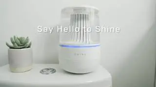 Easy Automatic Toilet Cleaner 2020   Shine Bathroom Assistant