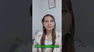 Aspectos Importantes de las Sociedades de Responsabilidad Limitada 