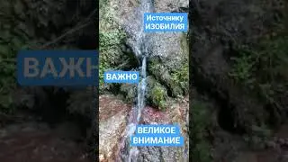 Мой Авторский курс: