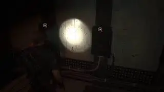 Rick Vivolive