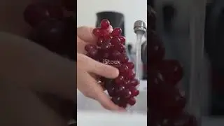 How to make red wine at home #redwine#homemaderedwine#redwinelover