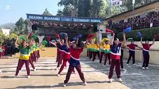 Waka waka, To Brazil || sport week 2082 || DBSS || Dance || 
