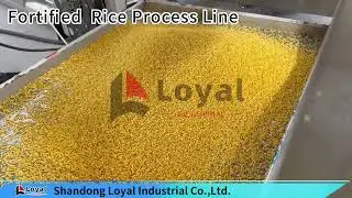 Highly efficient, energy-saving, intelligent, and customizable nutritional rice production line