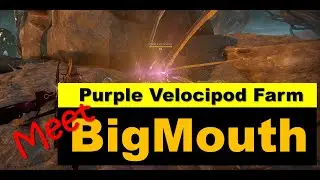 Purple Velocipod Farm | Helminth Segment Build & Installation Guide | Warframe Heart of Deimos