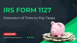 Extension of Time to Pay Taxes?  How to Complete IRS Form 1127